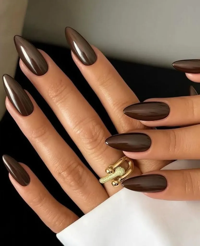 glossy dark chocolate brown manicure on long pointed stiletto shaped nails